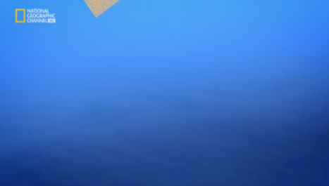 Cuando Pangea se dividió se formó el mar de Tesis, ósea el Océano Atlántico