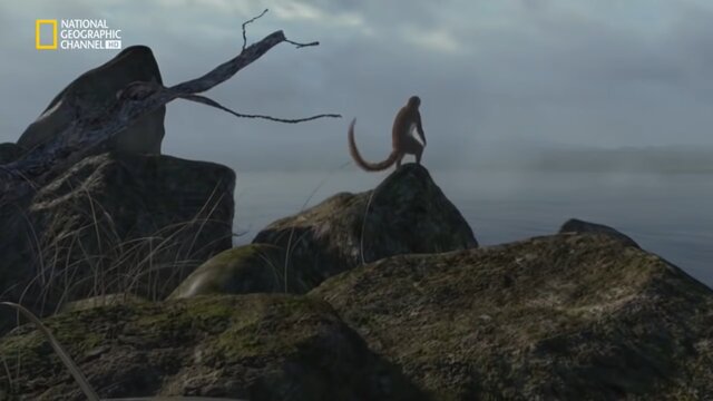 Surgen los mamiferos