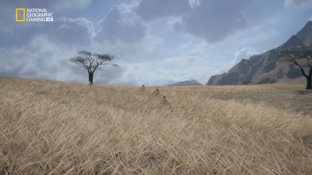 Aparece el ser humano