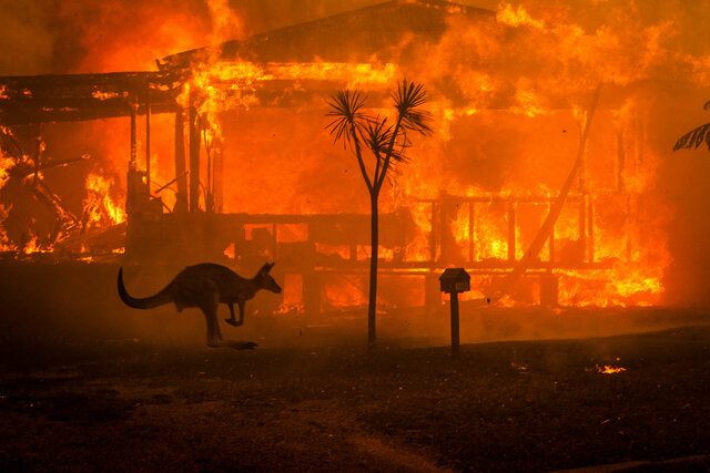 Australian Fires