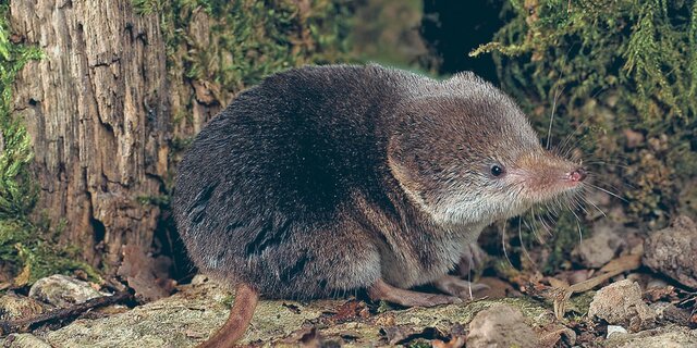 Se creó una nueva vida