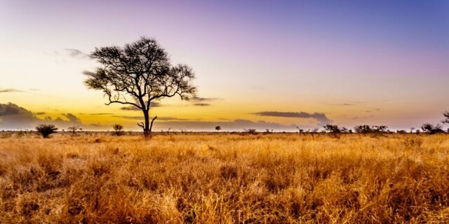 Surgen nuevas formas del relieve