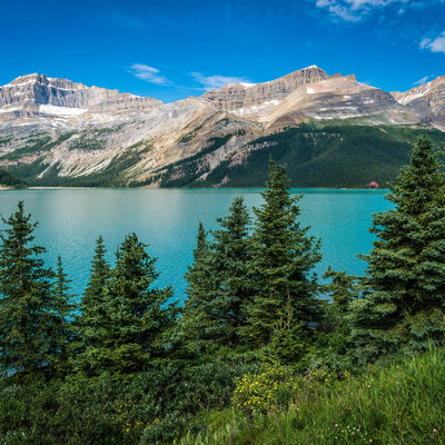 Timeline: Магистратура 2 курс