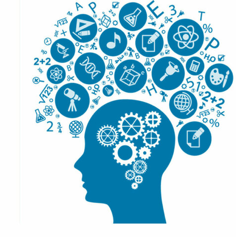 Цифровые образ. ресурсы в профессиональной деятельности пр. доц. Витвицкая Л.В