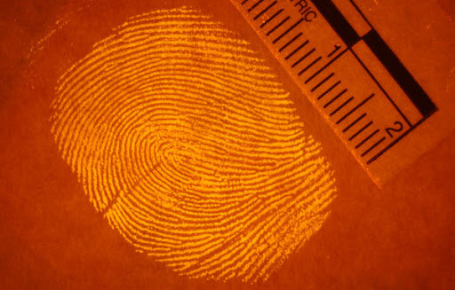 Fingerprints are used by the Feds