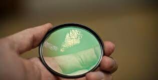 First Computer Data Base for Fingerprint