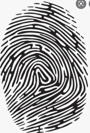 Fingerprint usage grows
