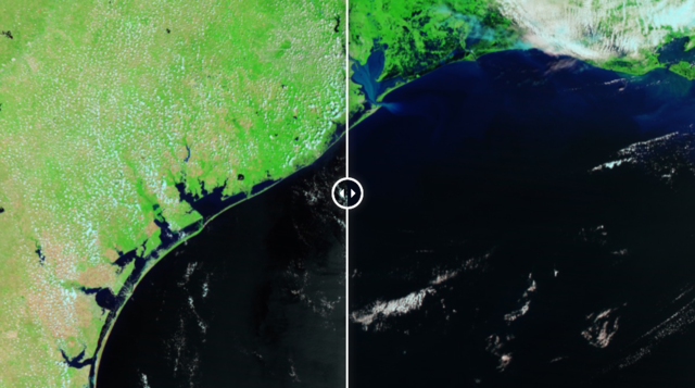 Hurricane Harvey aftermath, Houston