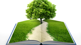 Timeline: Objetivos, Principios y Enfoques de la Educación Ambiental