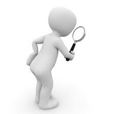 2008 Resolución 2646