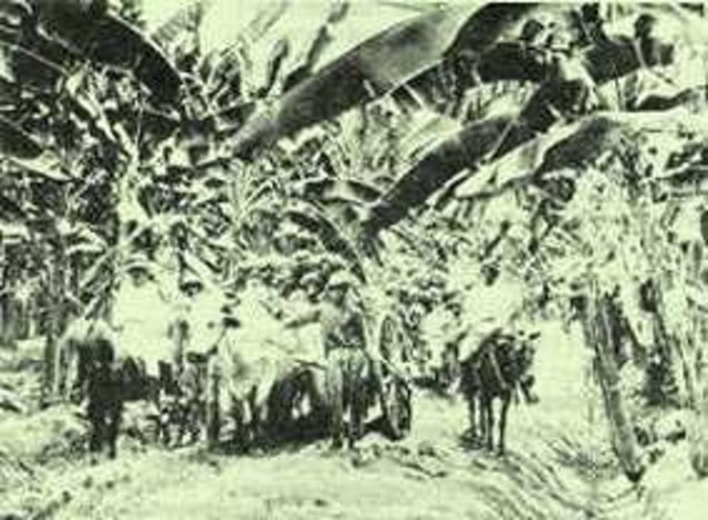 Masacre de las Bananeras