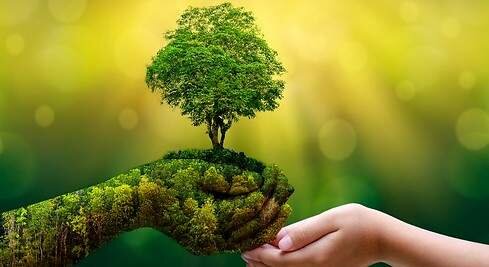 Guadalajara (México)