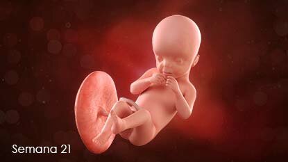 Semana 21