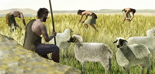 Invention de l’agriculture