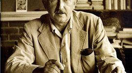 Timeline: Erikson Timeline