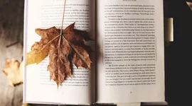 Timeline:  English literature