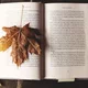 Literatura
