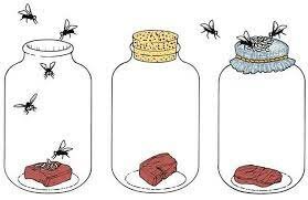 GENERACION ESPONTANEA.