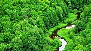 El planeta se esta curando, y regresa la vegetacion.