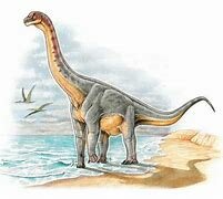 Llegan los primeros dinosaurios (Amosaurios, Dilofosaurio)