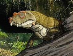 Los pequeños lagartos evolucionan en reptiles gigantes