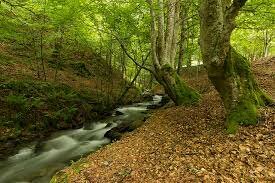 El planeta se repara. (Otra ves)