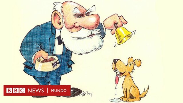 El perro de Pávlov