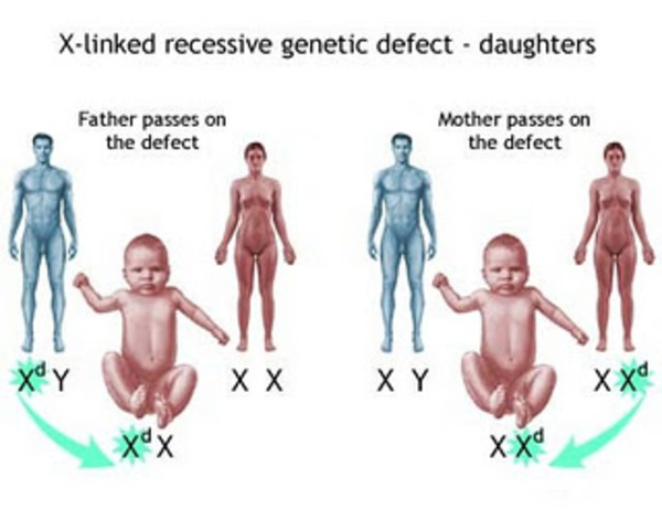 Genes are linked with hereditary disorders