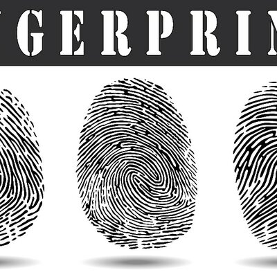 Timeline: fingerprints