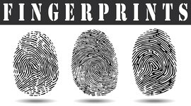 Timeline: fingerprints