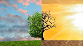 Timeline: Major climate action events in history