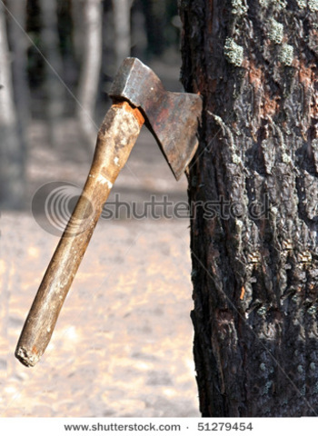 Mau sees "men help other men" on the tree