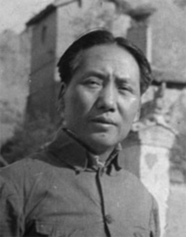 Japan seized control of Eastern Asia and the islands of the Pacific