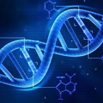 Timeline: scoperta del DNA