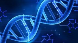 Timeline: scoperta del DNA