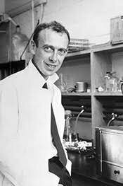 James Watson scopre i legami a idrogeno che legano tra loro le basi azotate e che le due catene che formano il DNA sono complementari