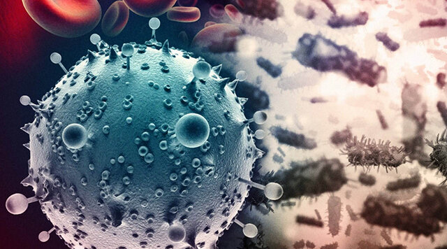 Reducen VIH en seis pacientes gracias a trasplante de células madre