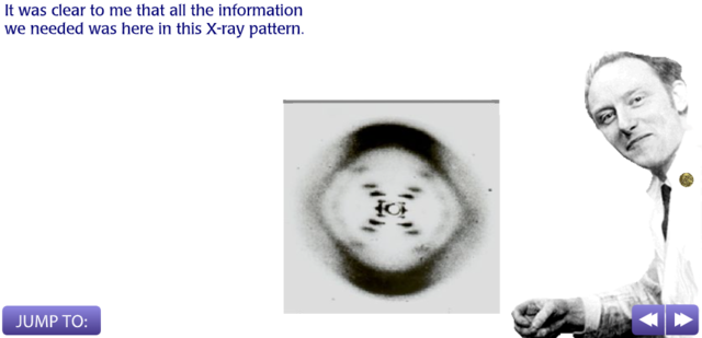 Struttura finale del DNA