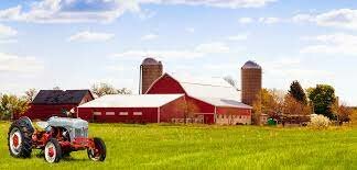 Tiden etter svartedauden