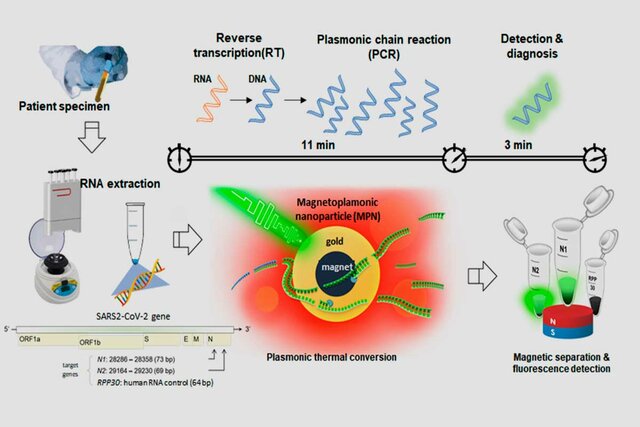 La ingeniería genética y la reacción en cadena de la polimerasa