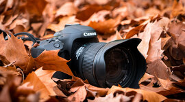 Timeline: Gomez_David_Timeline