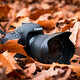 Camara de fotos