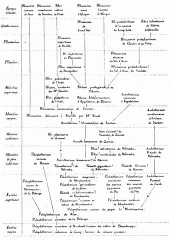 Arbol de Jean Albert Gaudry