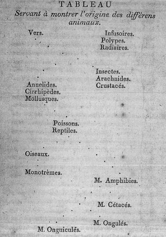 Arbol de Jean-Baptiste de Lamarck