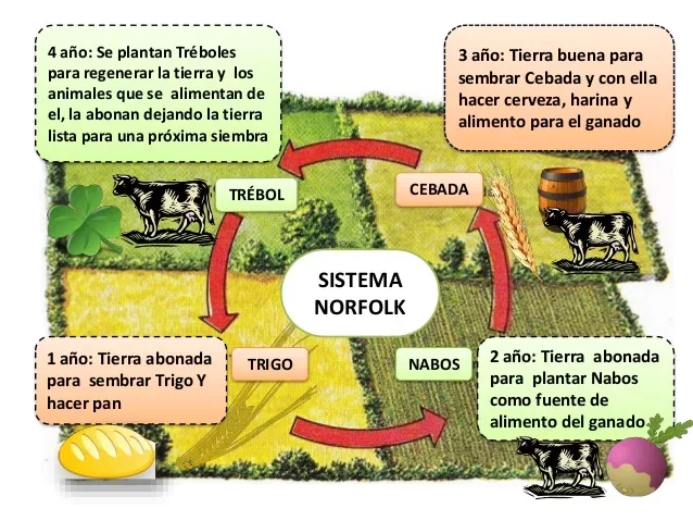 Lord Townshend introduce el Sistema Norfolk en la agricultura.