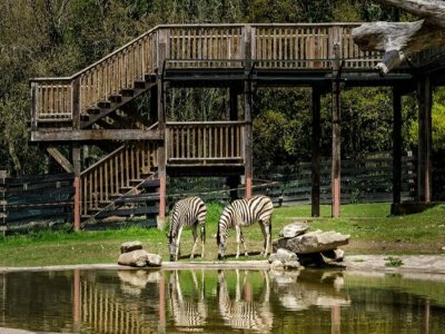 Mi tercera excursion (5 años)