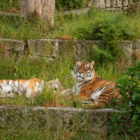 Excursión segundo de primaria (7 años)