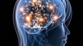 Timeline: La Neuropsicología en el tiempo