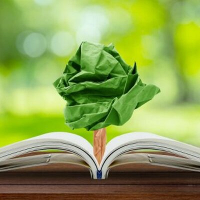 Timeline: Educación ambiental