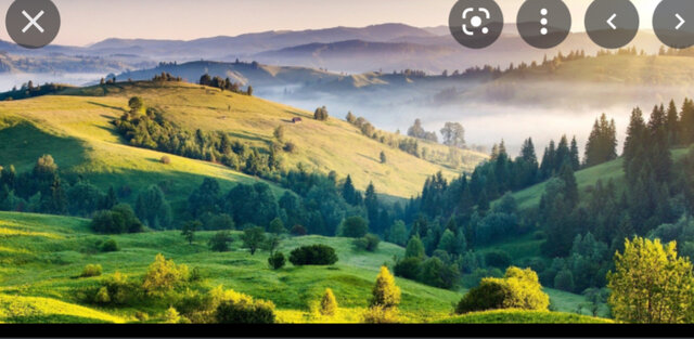 Arrived at New South Wales in 29th of september in 1788